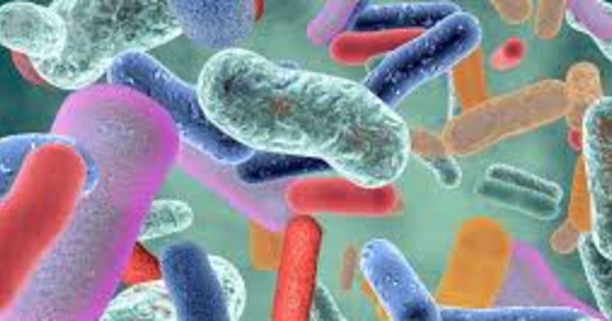 Santé Digestive : Décrypter les Troubles et Optimiser le Confort Intestinal