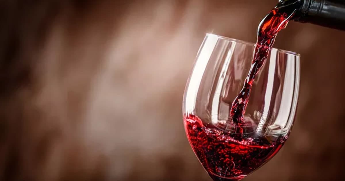 Vin Rouge et Polyphénols : Est-ce la Meilleure Source d'Antioxydants ?