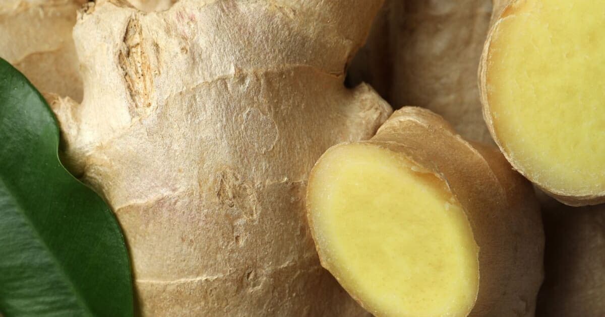 Le Gingembre : 5 Raisons Essentielles de l'Intégrer à Votre Alimentation pour une Meilleure Santé