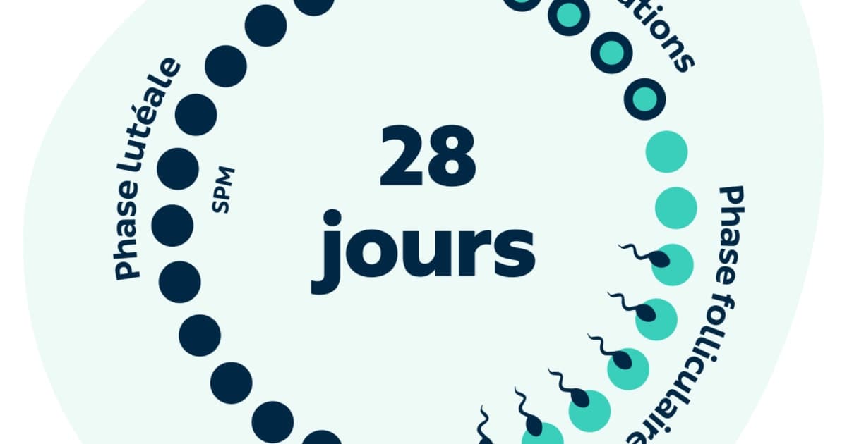 Mieux vivre votre cycle : 8 habitudes pour un bien-être menstruel optimal