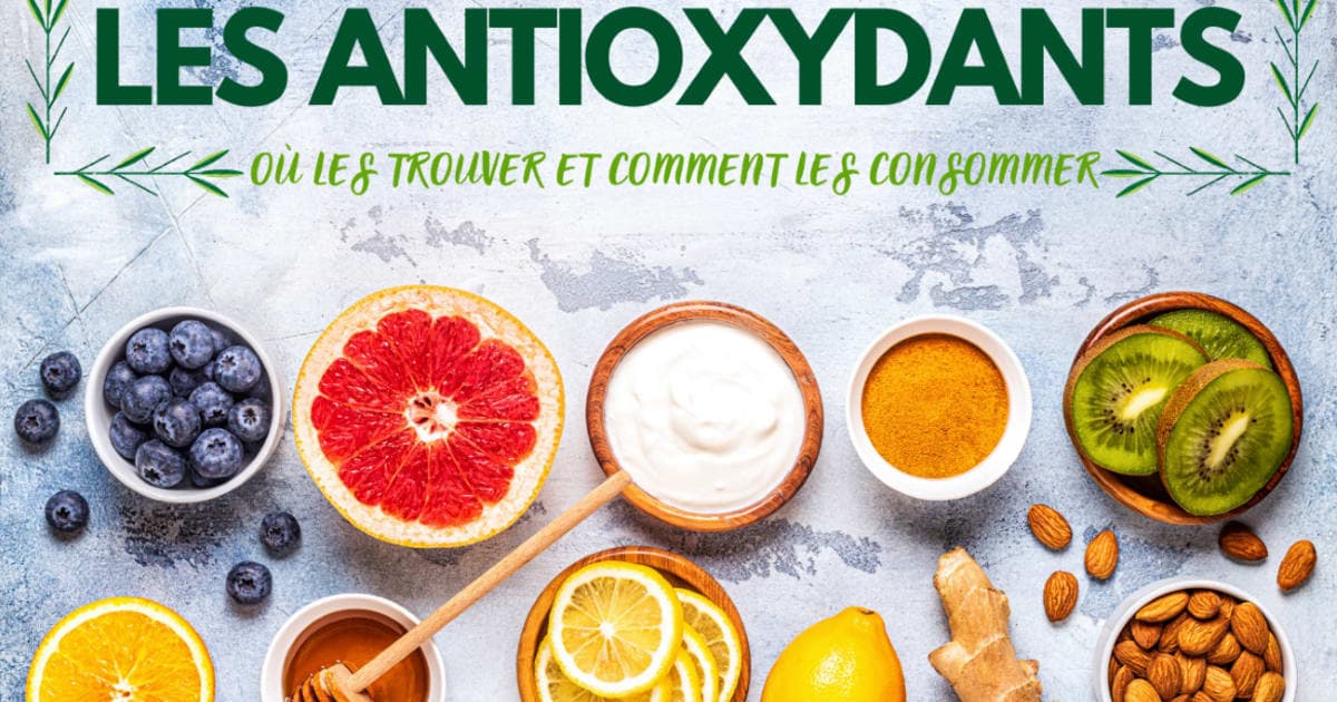 Les Antioxydants : Votre Bouclier Naturel pour une Santé Optimale et Durable