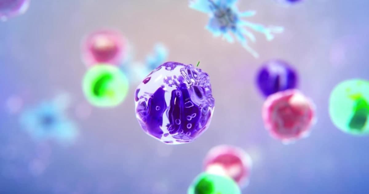 Alimentation et Immunité : Renforcez Vos Défenses Naturelles Efficacement