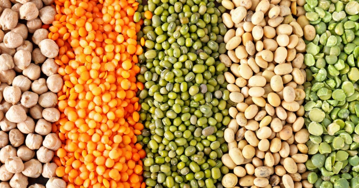 Légumineuses : 10 bienfaits essentiels pour votre santé et l'environnement