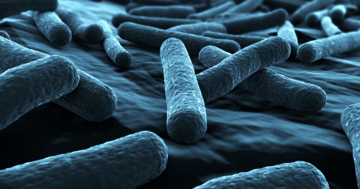 Comment le Microbiote Intestinal s'adapte à l'Exercice Physique et optimise la Performance Sportive
