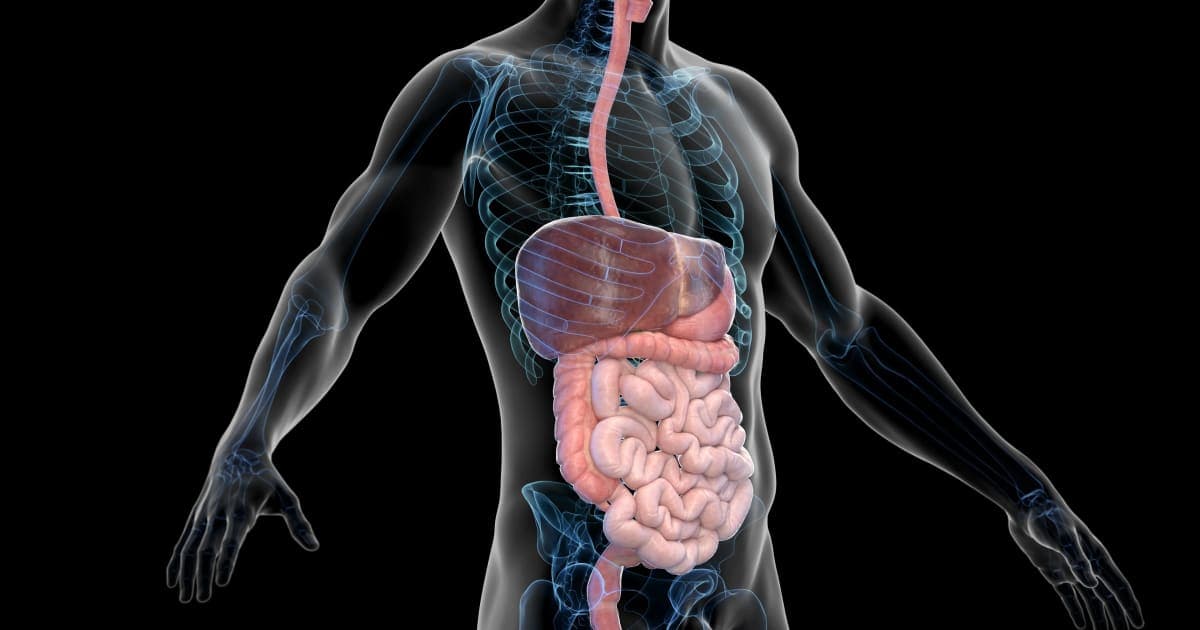 Améliorer sa Digestion : 12 Solutions Naturelles pour Apaiser les Troubles Intestinaux